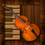 tr.com.alyaka.alper.professionaldoublebass