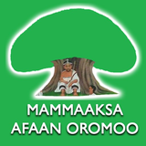 com.oromnet.mammaaksa.afoola.afaan.oromoo