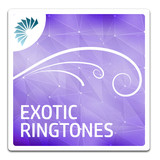 com.aura.ringtones.auraexotic