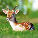 com.wildlife.deer