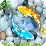 com.fish.wallpaper.fishbestwallpaper