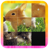 com.thefunappsg.slidepuzzleanimal