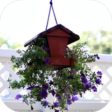 com.HangingFlowerPotsIdeas.eshall