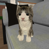 com.bitofgame.kittykatsim