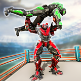 com.fg.real.robot.ring.fighting