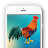 ringtones.alarms.rooster