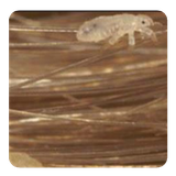 com.andromo.dev667101.app672597