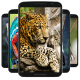 com.AnimalWallpaper.bullandro
