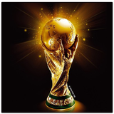 ir.android.worldcup