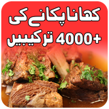 com.Technospart.UrduRecipes