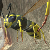 com.mnhksdev.waspsimulator