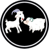 com.sheep.disease