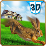 com.kick.pet.bunny.rabbit