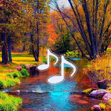 com.hfad.relaxmusic
