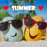 com.Infinity.summer
