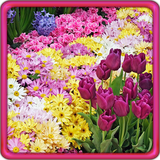 com.GardenFlowersLiveWallpaperBest