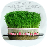 com.bigK.Nowruz