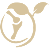 com.phoenix.osteoporosis