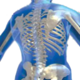 chiropr.actic