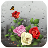 mobi.infolife.ezweather.livewallpaper.rainy.waterdrop