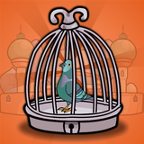 air.G2JPalacePigeonRescue