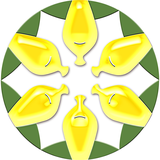 ir.zarrinsaham