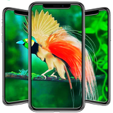 com.andromo.dev680484.app713650