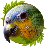 ir.dieselapp.animalsong