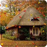 com.minato.autumn