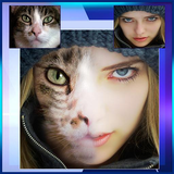 com.faceilliuison