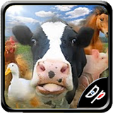 com.darie.farmrace