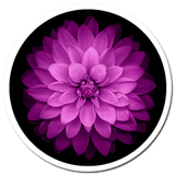 com.ariasoft2020.wiphone6