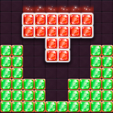 com.blockpuzzle.champions