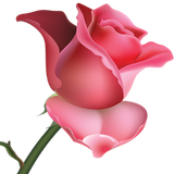 com.FlowersLive.Wallpapers