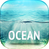com.david_wallpapers.ocean