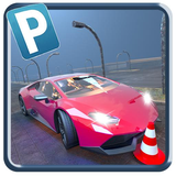 com.kappsgames.prodriver