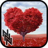 ir.ndesign_ir.papazel.valentine