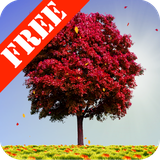 com.adermark.autumntreesfree