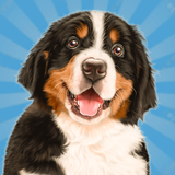 com.db.dog.town.pet.simulator