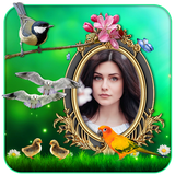 best.live_wallpapers.birds_3d_live_wallpaper_2014