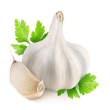 com.topdata.garlic