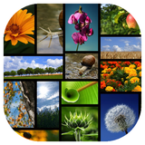 com.collagify.collagepic