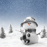 mah.walpaper.winter