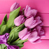 com.PinkTulipsLiveWallpaperHQ