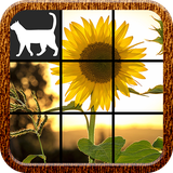 com.FatCat.FlowerPuzzle