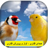 com.kamoon.canary