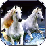 com.khamarnache.horsewallpaper.offline