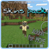 com.craftcreatestd.skinsmod