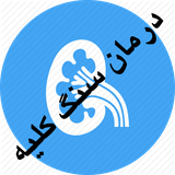 dskolye.dskolye81