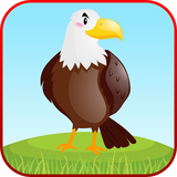 com.thelearningapps.birdskingdompark